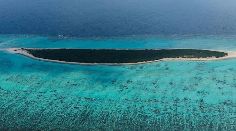 جزيرة مرمر.. محمية طبيعية تزخر بتنوعها البيئي وترسم ملامح سياحة بحرية مستدامة